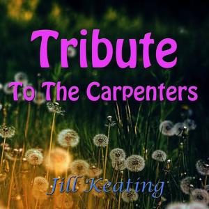 ดาวน์โหลดและฟังเพลง Superstar พร้อมเนื้อเพลงจาก Jill Keating