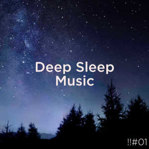 Listen to Relaxing Ocean Music song with lyrics from Sleep Sounds of Nature