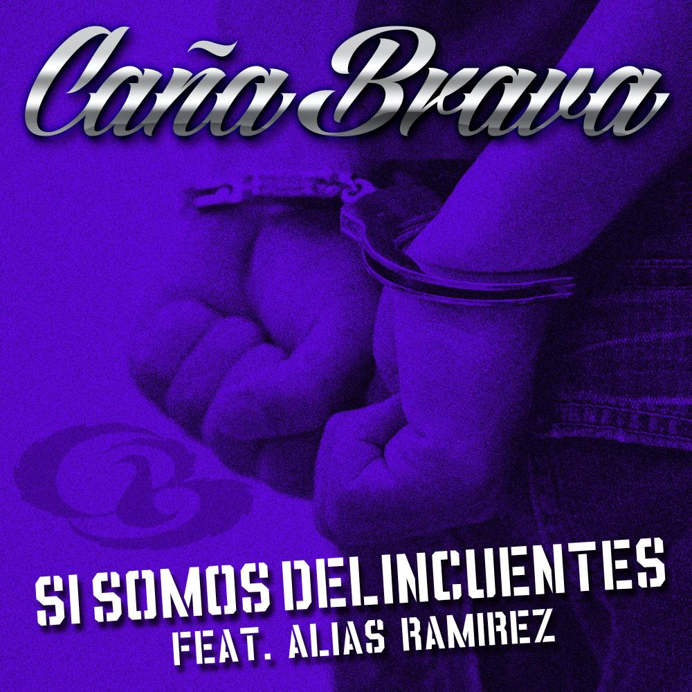 Si Somos Delincuentes (feat. Alias Ramirez) (Explicit)