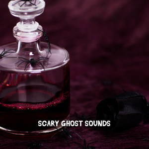 Album Scary Ghost Sounds from Spooky Halloween Sounds
