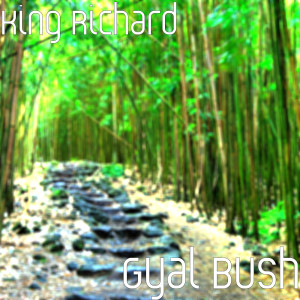 Album Gyal Bush (Explicit) from King Richard