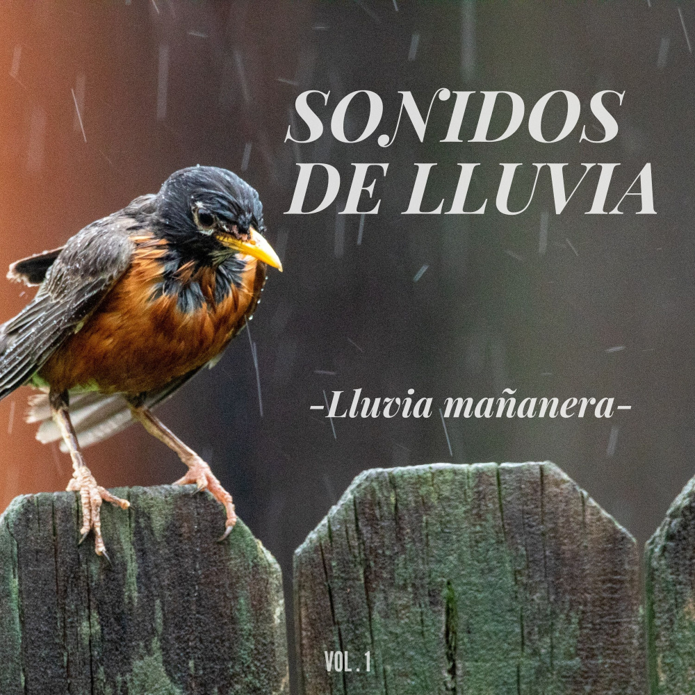Lluvia nocturna saludable