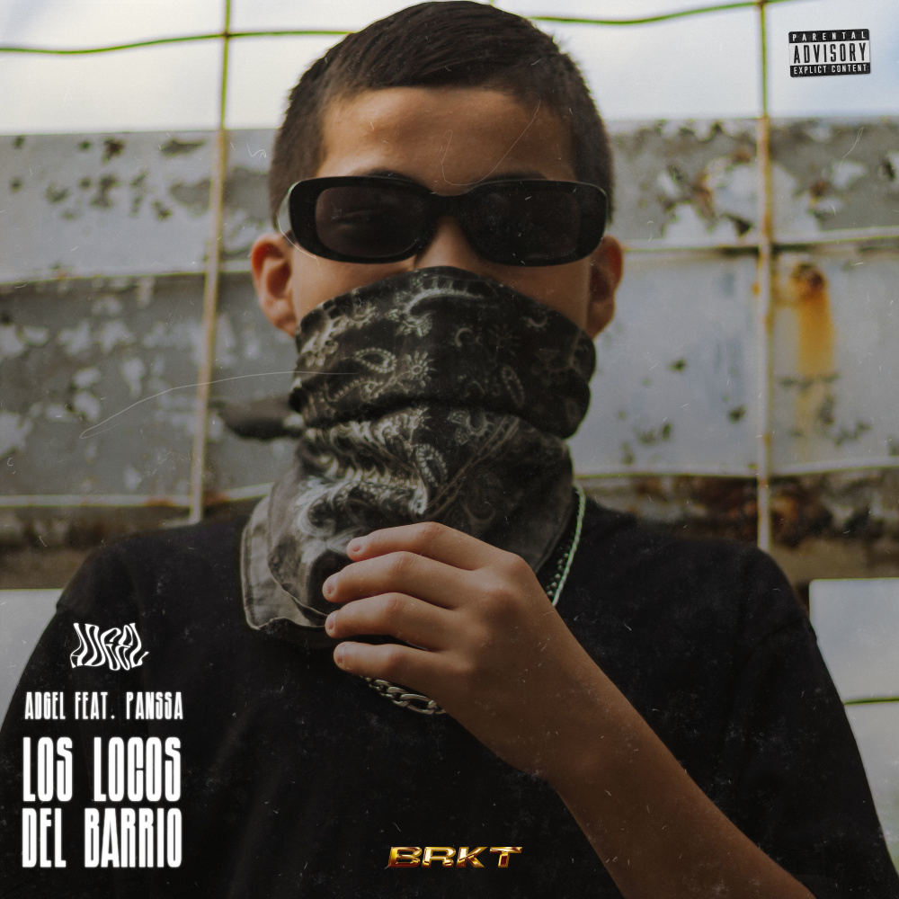 Los Locos del Barrio (feat. Panssa) (Explicit)