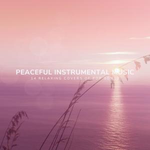Various的專輯Peaceful Instrumental Music: 14 Relaxing Covers of Pop Songs