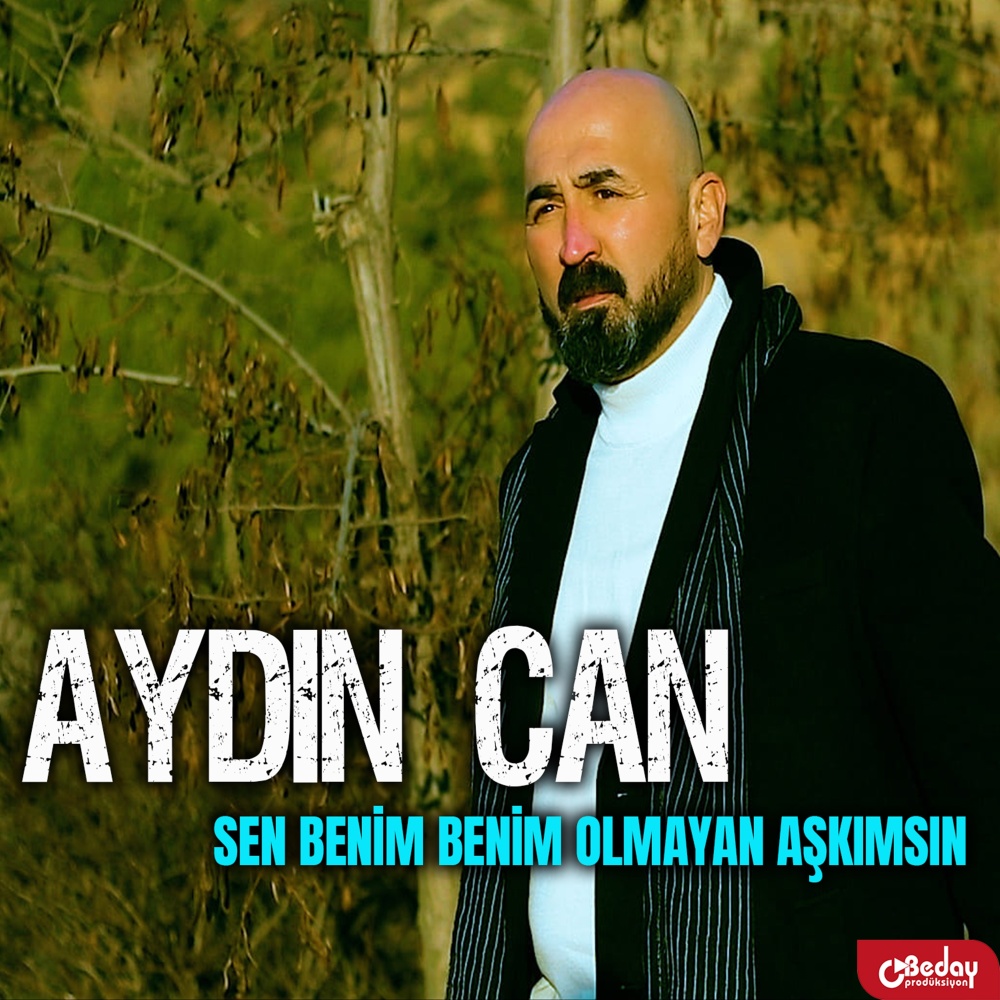 Sen Benim Olmayan Aşkımsın