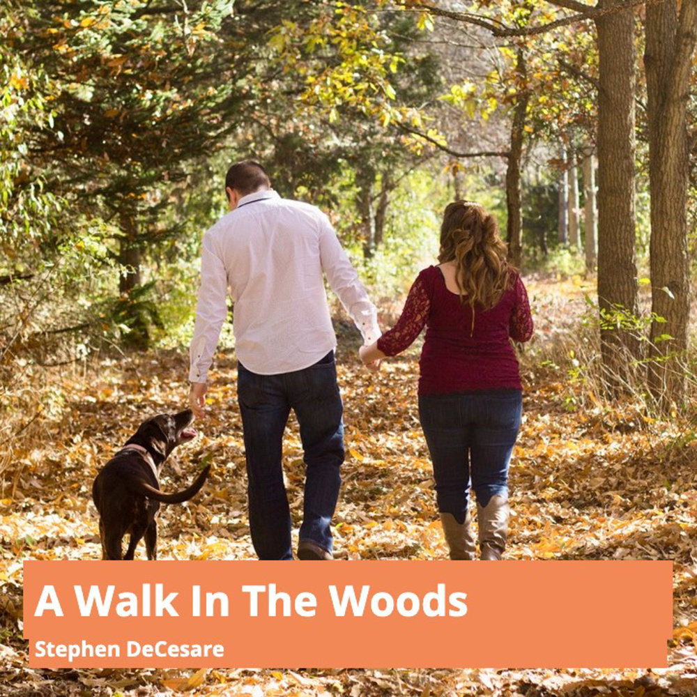 A Walk in the Woods