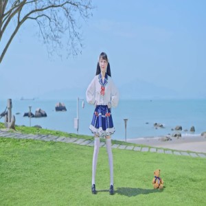 Listen to 凤凰向南飞 彩云在跟随 (热门DJBGM) song with lyrics from 小47