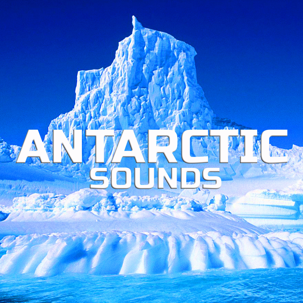 Antarctic White Noise