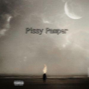 ดาวน์โหลดและฟังเพลง Pissy Pamper (Explicit) พร้อมเนื้อเพลงจาก DB$