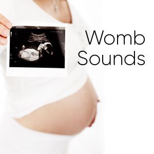 Album Womb Sounds from White Noise Collectors