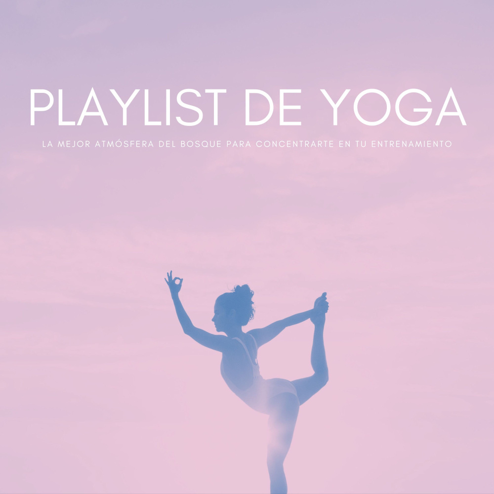 Yoga Para Principiantes Y Expertos