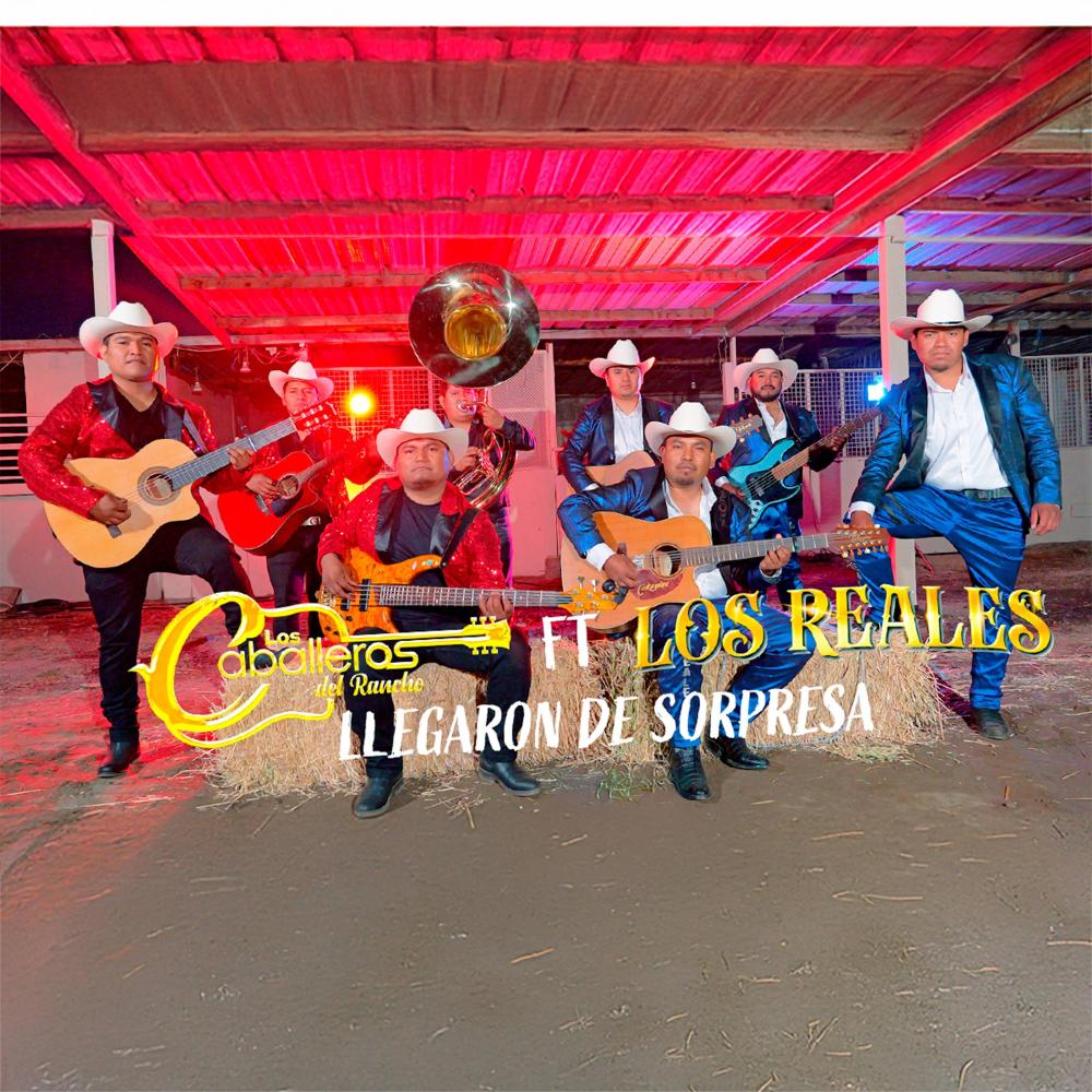 Llegaron de sorpresa (feat. Los Reales)