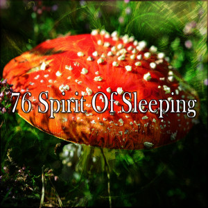 收聽Water Sound Natural White Noise的Focus on Sleeping歌詞歌曲