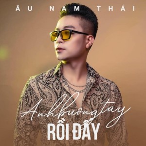 Album Anh Buông Tay Rồi Đấy from Âu Nam Thái