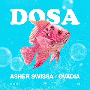 Album Dosa from Asher Swissa