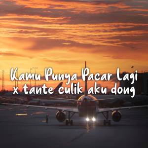 DJ Kamu Punya Pacar Lagi x Tante Culik Aku Dong