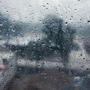 收聽Sounds of Nature White Noise for Mindfulness Meditation and Relaxation的Rain Against Our Window歌詞歌曲
