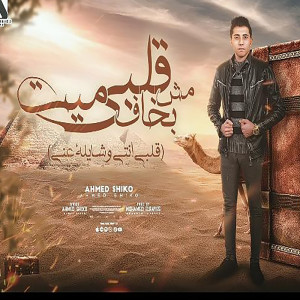 Album قلبى ميت مش بخاف from احمد شيكو