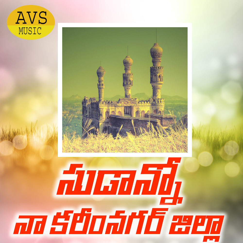 Sudanno Naa Kariminagar Jilla