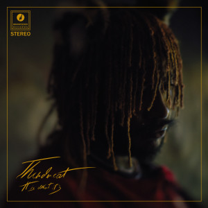 Listen to It Is What It Is(feat.Pedro Martins) song with lyrics from Thundercat