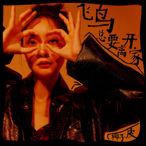 Listen to 飞鸟总要离开家 (伴奏) song with lyrics from 椰子皮