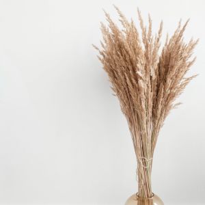 Album Spirit Songs | Spa & Relaxation oleh Massage Therapy Music