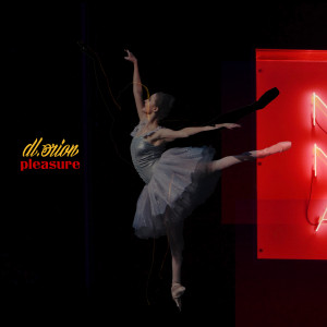 Dengarkan Pleasure lagu dari dl.orion dengan lirik