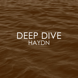 Various Artists的專輯Deep Dive - Haydn