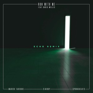 Listen to Run With Me (Echo Remix) song with lyrics from Marco Farouk