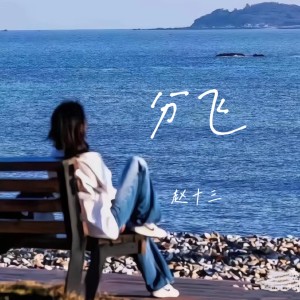 收听赵十三的分飞 (雨纷飞)歌词歌曲