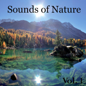 ดาวน์โหลดและฟังเพลง Summer Rains Arrive พร้อมเนื้อเพลงจาก Natural Sounds
