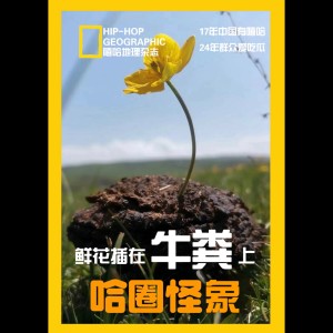 StickyT的专辑哈圈怪象