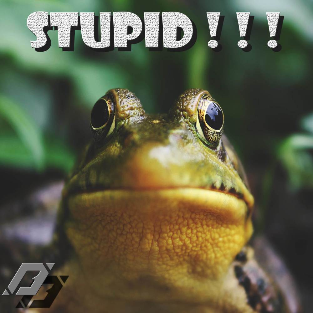 Stupid ! ! ! (Explicit)