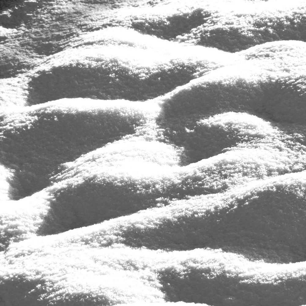 Walkin545 (Explicit)