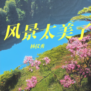 Album 风景太美了 from 杨仪秀