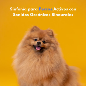 Música Relajante para Perros的专辑Sinfonía Para Perros Activos Con Sonidos Oceánicos Binaurales