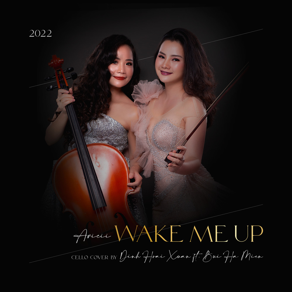 Wake Me Up (Cello Cover)