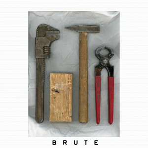 Patrice Bäumel的专辑Brute