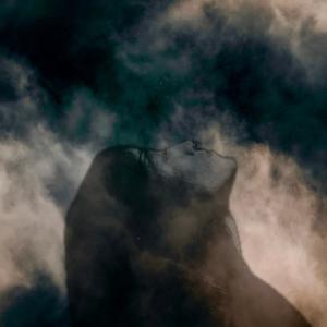 N!CO的專輯BREATHE IT IN