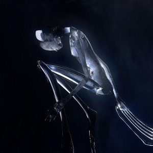 ดาวน์โหลดและฟังเพลง Hydra พร้อมเนื้อเพลงจาก KIAR