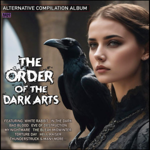 Various Artists的專輯The Order Of The Dark Arts