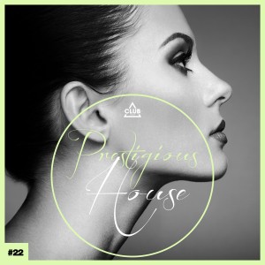 Prestigious House, Vol. 22 dari Various Artists