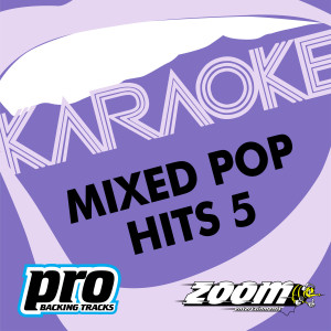 收聽Zoom Karaoke的You'll Never Know (In The Style Of 'Hi-Gloss')歌詞歌曲