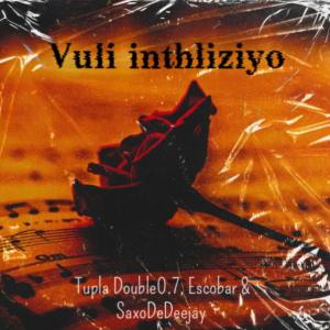 Album Vuli inthliziyo from Tupla Double 0.7