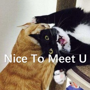 流芒菌的專輯Nice To Meet U（女聲對唱）