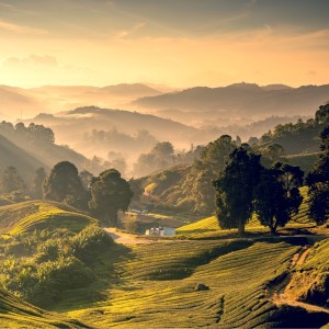 ดาวน์โหลดและฟังเพลง Goa พร้อมเนื้อเพลงจาก Schlaf Guru