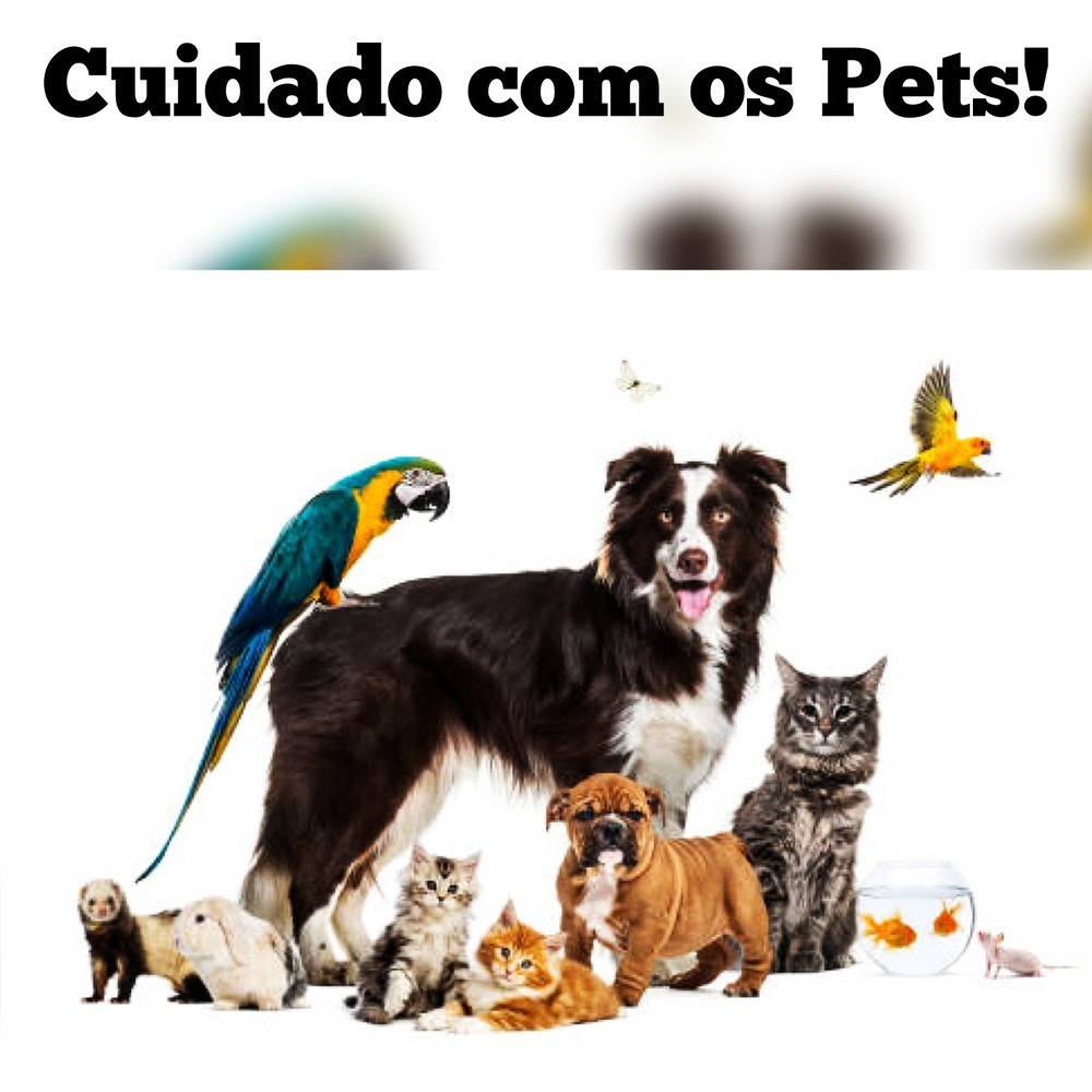 Cuidado Com os Pets!