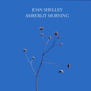 Joan Shelley的專輯Amberlit Morning