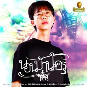 Listen to นอนบ้านใคร song with lyrics from เด็กเลี้ยงควาย