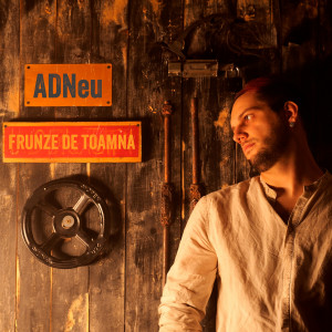 Album Frunze de toamna from 